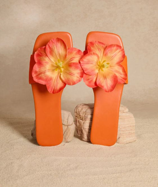 orange zest slides