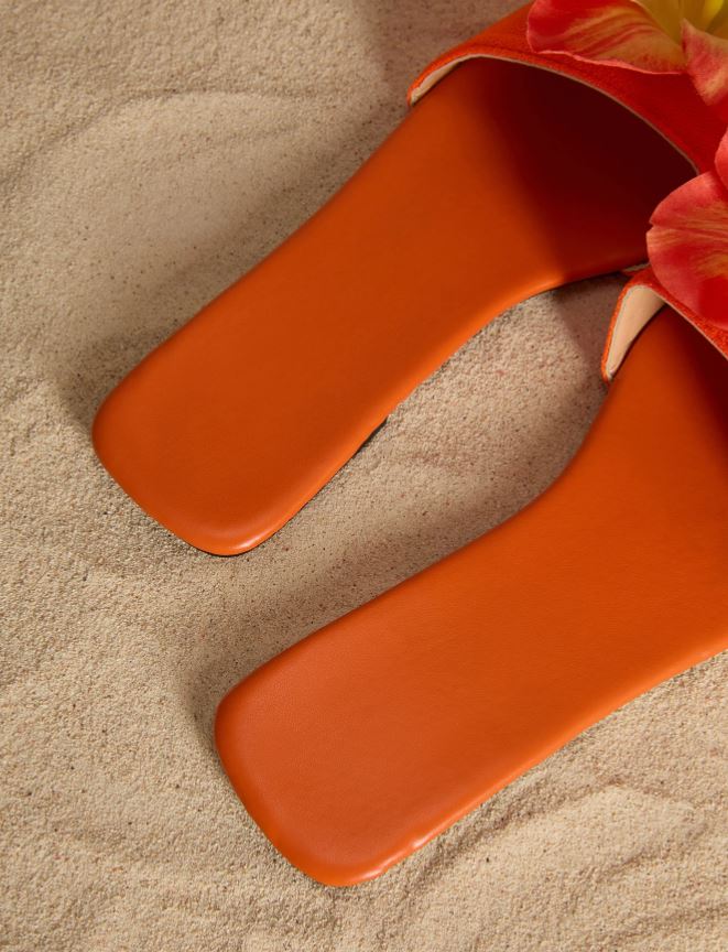 orange zest slides