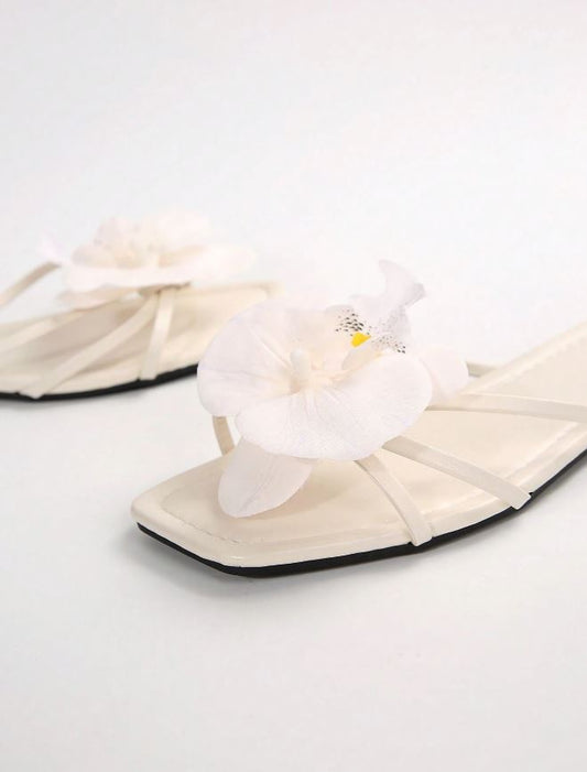 cloud orchid slides