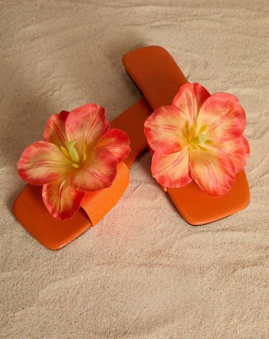 orange zest slides