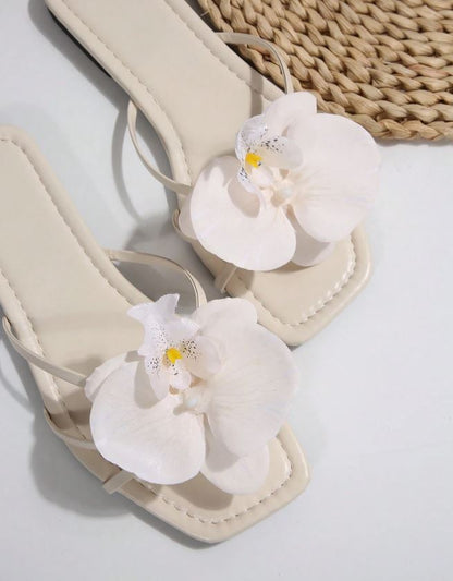 cloud orchid slides