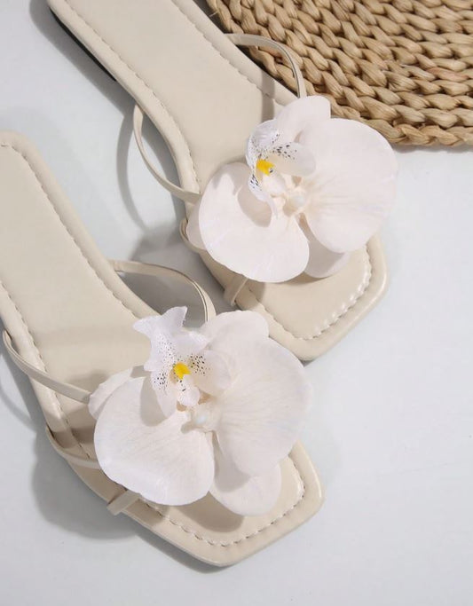 cloud orchid slides